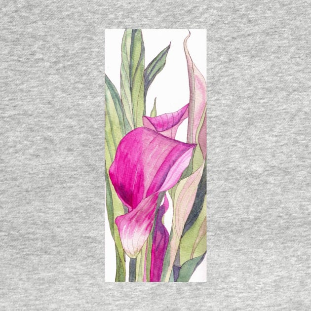 Pink Calla Lily watercolour painting by esvb